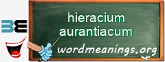 WordMeaning blackboard for hieracium aurantiacum